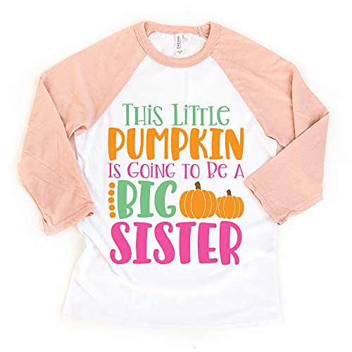 Little Pumpkin Big Sister Fall Girl Toddler Youth Thanksgiving Sibling Shirts and Raglans