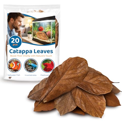 SunGrow 20 Pcs Large Catappa Indian Almond Leaves for Fish Aquarium Tank, 7-8 Inches, Leaf for...
