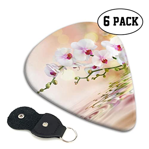 White In The Pond Lot de 6 médiators pour guitare acoustique, guitare électrique, basse, ukulélé – fins, moyens et épais… - Les Beatles, Paul McCartney, John Lennon, RIngo Starr, George Harrison White In The Pond Lot de 6 médiators pour guitare acoustique, guitare électrique, basse, ukulélé – fins, moyens et épais… – Image 3