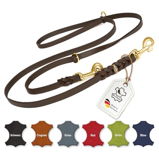 maly-leder Gummierte Hundeleine 3m ohne Schlaufe (braun) 2 CopcoPet - Fettlederleine, Braun 3 m x 20 mm, 3-Fach verstellbare Hunde-Leine aus Leder mit Messing Karabinern, geflochtene Hunde-Führleine für große Hunde.