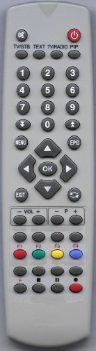 GOODMANS GFSAT101SD Replacement Remote Control