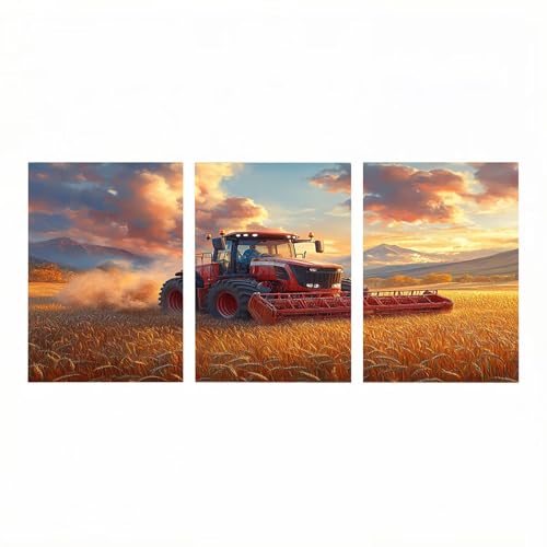 Cadeau femme original peinture numero adulte triptyque paysage embrasé