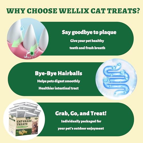 Wellix-450g16oz-Cat-Grass-Treats-Healthy-Kitten-Snacks-Natural-Salmon-Flavor-Dental-Cleaning-and-Hairball-Control-Catnip-Training-Biscuits-for-Indoor-Cats