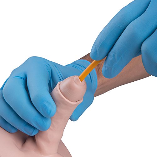 Image of 3B Scientific 1020842 Catheterization Simulator Female & Male Set Basic
