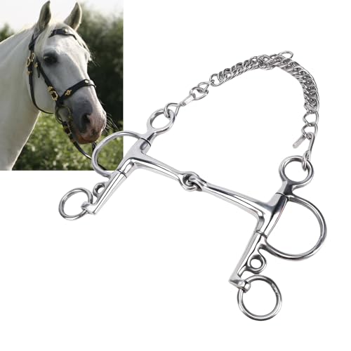 ZIZEV Horse Training Snaffle Bit, 304 Stainless Steel Double Bridle Horse Curb Bit with Double Eye Chain and Reinforced Hooks for Warmbloods Light Horsing Breeds