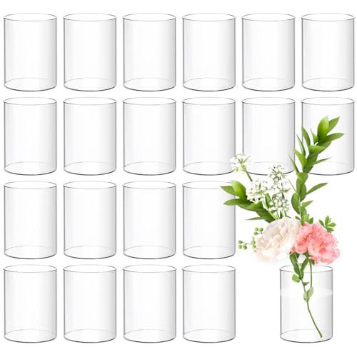 24 Pack Acrylic Vases, 4in Clear Acrylic Cylinder Plastic Flower