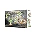 Games Workshop Warhammer Age of Sigmar: Skaven Endless Spells