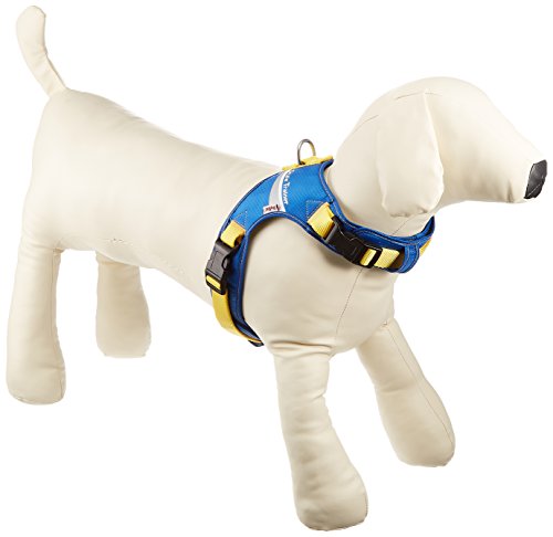 yeBI (Petio) X^Cg[i[ XvbV\tgn[lX u[ ^p L TCY