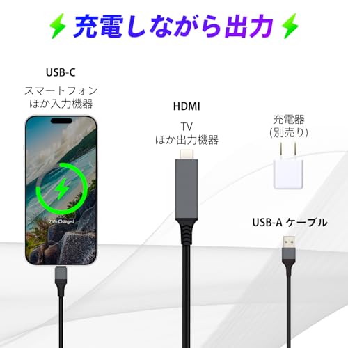 セイワ HDMI変換ケーブル USB Type-C to HDMI IMP330