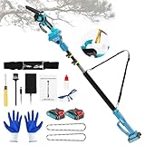 2-in-1 Cordless Pole Saw＆6 Inch Mini Chainsaw,16 FT Max Reach Pole Saw Battery Powered,Adjustable 180° Cutting Angle with 2 Battery,Pole Saws for Tree Trimming
