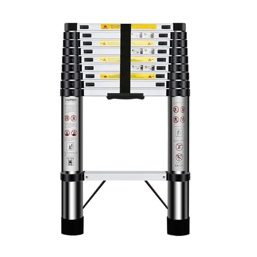 HUIYOPU Telescopic Ladder 2.9m, Durable Design