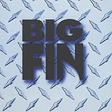 Big Fin