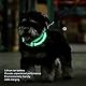 Beleuchtetes Hundehalsband, LED-Hundehalsband, Verlustprävention, Wiederaufladbares, Leuchtendes Hundehalsband Kleine, Mittelgroße und Große Hunde (LED Fließendes Halsband