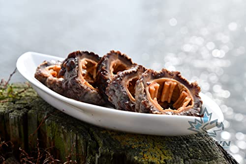 Rosalyn The Taste Of Nature Rosalyn Premium Deep Sea Atlantic Canada Wild Caught Sea Cucumber Dried thumb #6