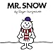 Mr. Snow (Mr. Men and Little Miss)