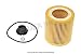 BMW OEM Engine Lubrication System Oil Filter Kit X1 28i Z4 28i 528i Hybrid 5 528i 228i X3 28i 320i 328i Hybrid 3 328i 428i 428i 328i 428i