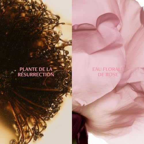 Melvita - Crème Hydra Repulpante - Source de Roses - 50ml