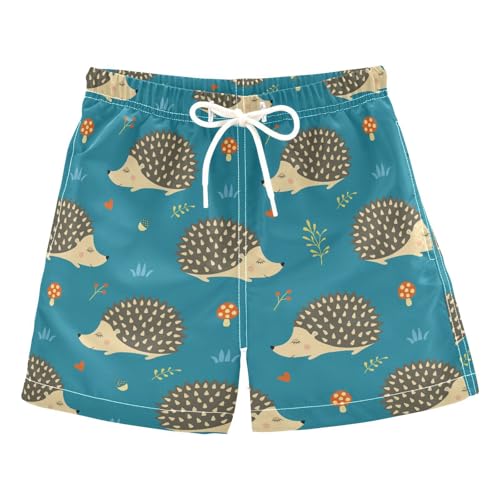 susiyo Boys Swim Trunks Hedgehogs Toddler Swim Shorts Quick Dry Beach Board Shorts Little Boy Bathing Suits Swimwear X-Small