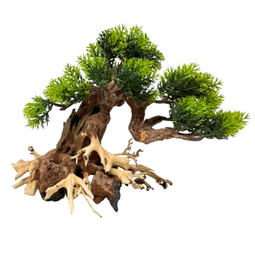 Bonsai Driftwood Aquarium Trees on Rock (6