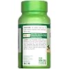 Nature's Truth Ginger Root Capsules | 100 Count | from Ginger Root Extract | Non-GMO and Gluten Free Supplement