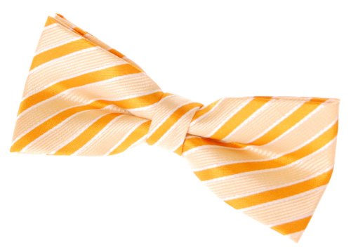 Retreez Two-Colour Stripe Woven Pre-tied Bow Tie (4.5