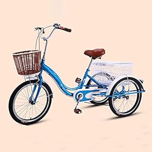 ZJZ Volwassen Driewieler Met Winkelmand Drie Wielige Fiets 16 Inch Trike Fiets Voor Winkelen Picknick Buitensporten…
