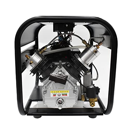 TUXING 4500Psi Pcp Air Compressor Double Cylinder High Pressure Air Compressor Auto Stop and Auto Purge for PCP Rifle Tank Gas Scuba Filling 110V TXED013