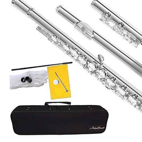 Best Student Flutes Beginners 10Reviewz