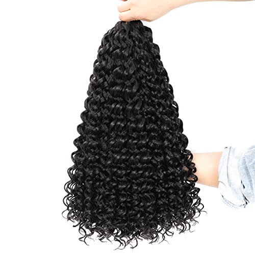 Dansama 2 Packs GoGo Curl Crochet Braids Beach Curl Water Wave Crochet Synthetic Hair Extensions (18 inch (Pack of 2), #2)