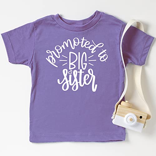 Olive Loves Apple Promoted To Big Sister Colorful Announcement T-Shirt For Baby And Toddler Girls Sibling Outfits Mauve Shirt #TOP3