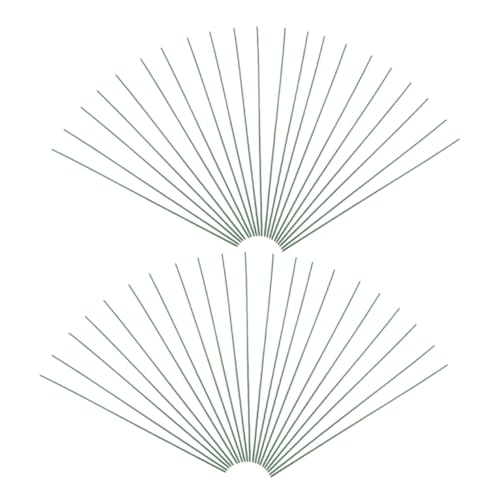 LOORGVEL 100 O[SԌs |p^C[ Ԍs ԑpf prt[Xe t[Ntg