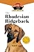 The Rhodesian Ridgeback: An Owner's Guide to a Happy Healthy Pet