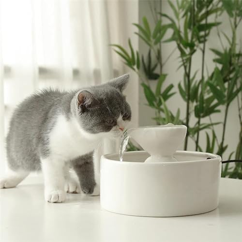 Fuente automática de agua para gatos cerámica REAGAR miniatura 3