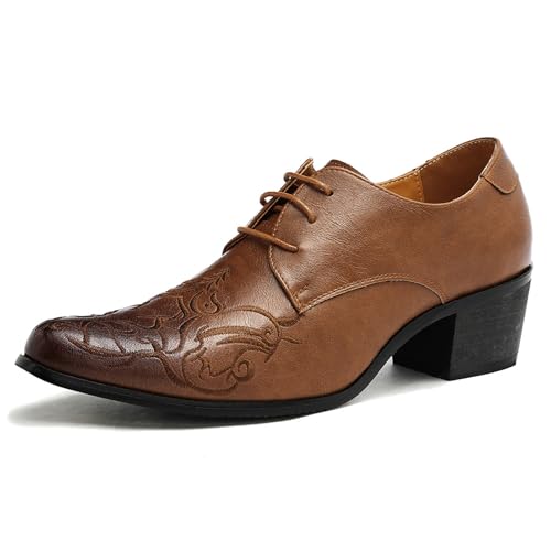 Dwihuize Chaussures Ville Homme À Bout Pointu Chaussures De Danse Rétro en Cuir À Lacets pour Mariage Et Soirée À Talons Hauts pour Les Affaires...