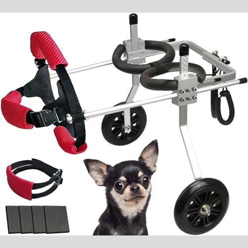 Fauteuil roulant pour chien moyen et petit souffrant des pattes arrière