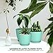 Utopia Home - Plant Pots Indoor with Drainage - 7/6.6/6/5.3/4.8 Inches Flower Pots for Indoor Planter - 5 Pack Plastic Planters - Ideal for Stocking Stuffers or Home Christmas Decorations - Aqua