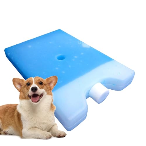 Compresas Frías Reutilizables,Pack De Hielo Duradero para Congelador - Accesorio De Enfriamiento Multiusos, Eficiente Y Práctico para Playa, Picnic, Senderismo Y Actividades