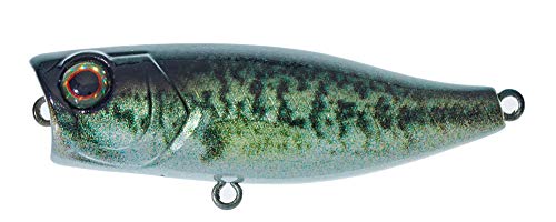 Illex Chubby Popper 42 Wobbler 3,3g schwimmend RT Biwako Bass