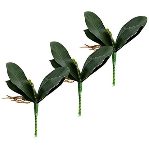 HAOSHICS 3 Pcs Artificial Phalaenopsis Leaves,Faux Orchids Leaves,Simulation Green Plants for Home Garden Office Vase Patio Decor (Green, 24) Cover