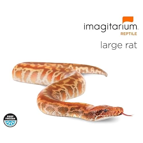 imagitarium Frozen Large Rat, Count of 10 - Thumbnail 2