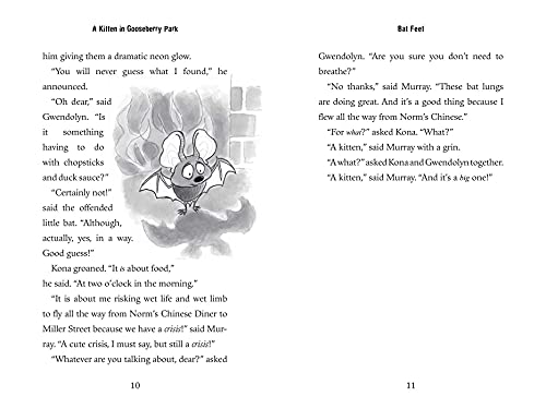 A Kitten in Gooseberry Park - Image 4