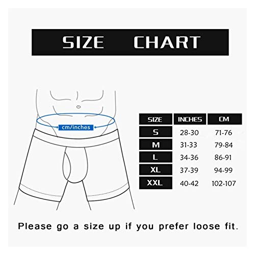 Men's Boxer Briefs Underwear,Rainbow Striped and Checkered Pattern Wheelbarrows Full of Wild Flowers and Birds XL