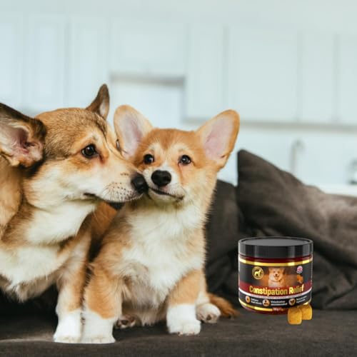 GastroBalance linderung verstopfung beim Hund – 60 weichen kausnacks abführmittel für Hunde 100% natürliche Wirkstoffe - Hühnergeschmack (English)
