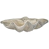 House Parts Large Clam Shell Sculpture