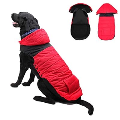 kong dog coat