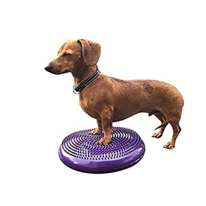 Dog balance disc cushion 14  with 2 exercises and pump  dog rehab exercise strength endurance conditioning fitness flexibility rehabilitation physical training tool for senior dogs   cucciolini doodles