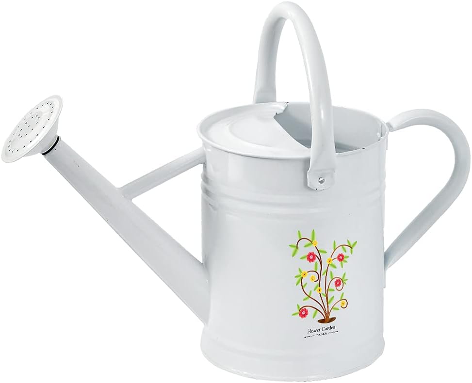 yourjoy Steel Watering Can Sliver Galvanized Steel Watering Can with Copper Accents,Removable Rosette-Diffuser,One-Gallon : Patio, Lawn & Garden