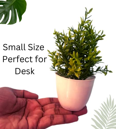 Image of Artificial Flowers for Decoration with Pot Combo of 2PCs Artificial Forest Bonsai Plant with Plastic Pot for Home Decoration Office Table Greenery Room Home Decor Plants (S2P)
