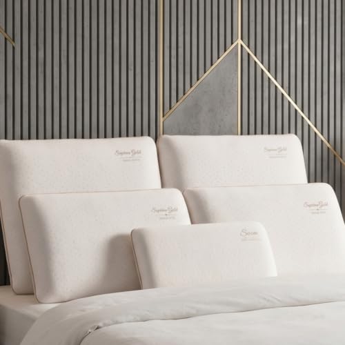 SAMPUR Oreiller Suprême Gold 40 * 70 | Mémoire de Forme | Finition brodée | Aide à Lutter Contre Le ronflement | Maintien Parfait de la Nuque