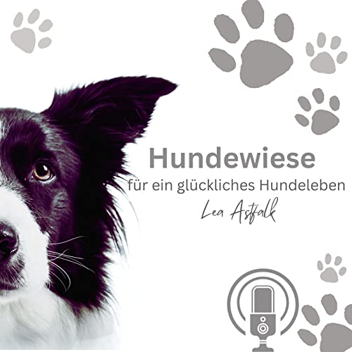 Mein Tierschutzhund, meine Erwartungen und ich